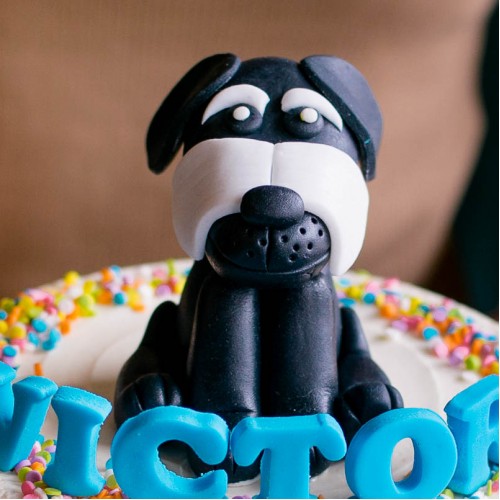 Fondant Black Schnauzer Dog Topper