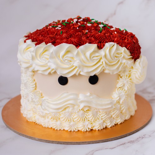 Piped Santa Cake