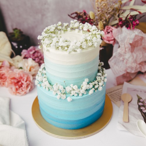 Two Tier Ombre Cake with Baby's Breath