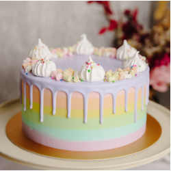 Pastel Rainbow with Chocolate Drizzle and Meringue Decor