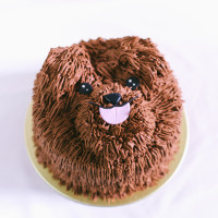 Puppy Dog Cake