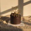 Midnight Dark Chocolate Cake