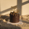 Midnight Dark Chocolate Cake