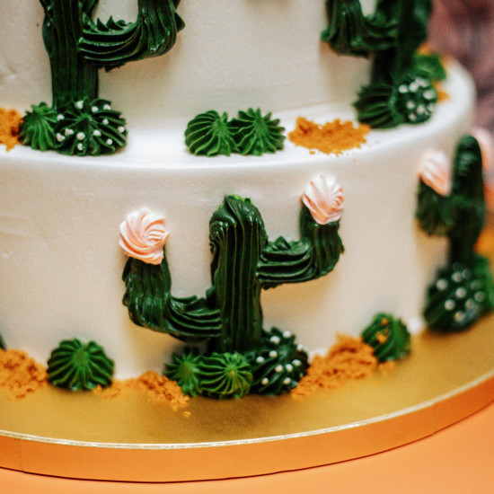 Two Tier Piped Cactus Cake